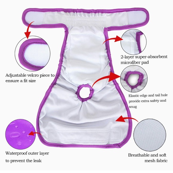 Teamoy Washable Female Dog Diaper, Reusable Doggie Diaper. SZ LG. Purple NOWT - Picture 8 of 9